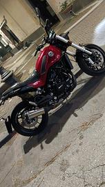  Benelli leoncino 500 