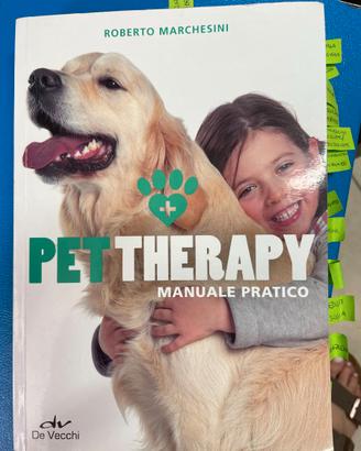 PT THERAPY