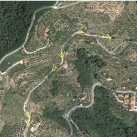 Terreno con olivi, alberi da frutto e casetta