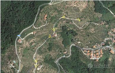 Terreno con olivi, alberi da frutto e casetta