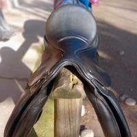 Sella equitazione pro-light modello Siena