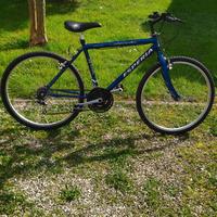 bicicletta Mountain bike 