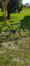 bicicletta Mountain bike 