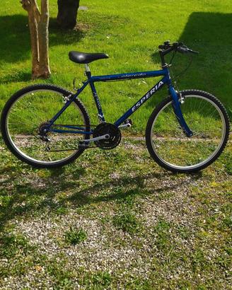 bicicletta Mountain bike 