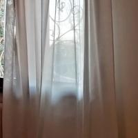 Coppia di tendoni