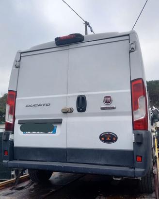 Ricambi Fiat Ducato coibentato anno 2016