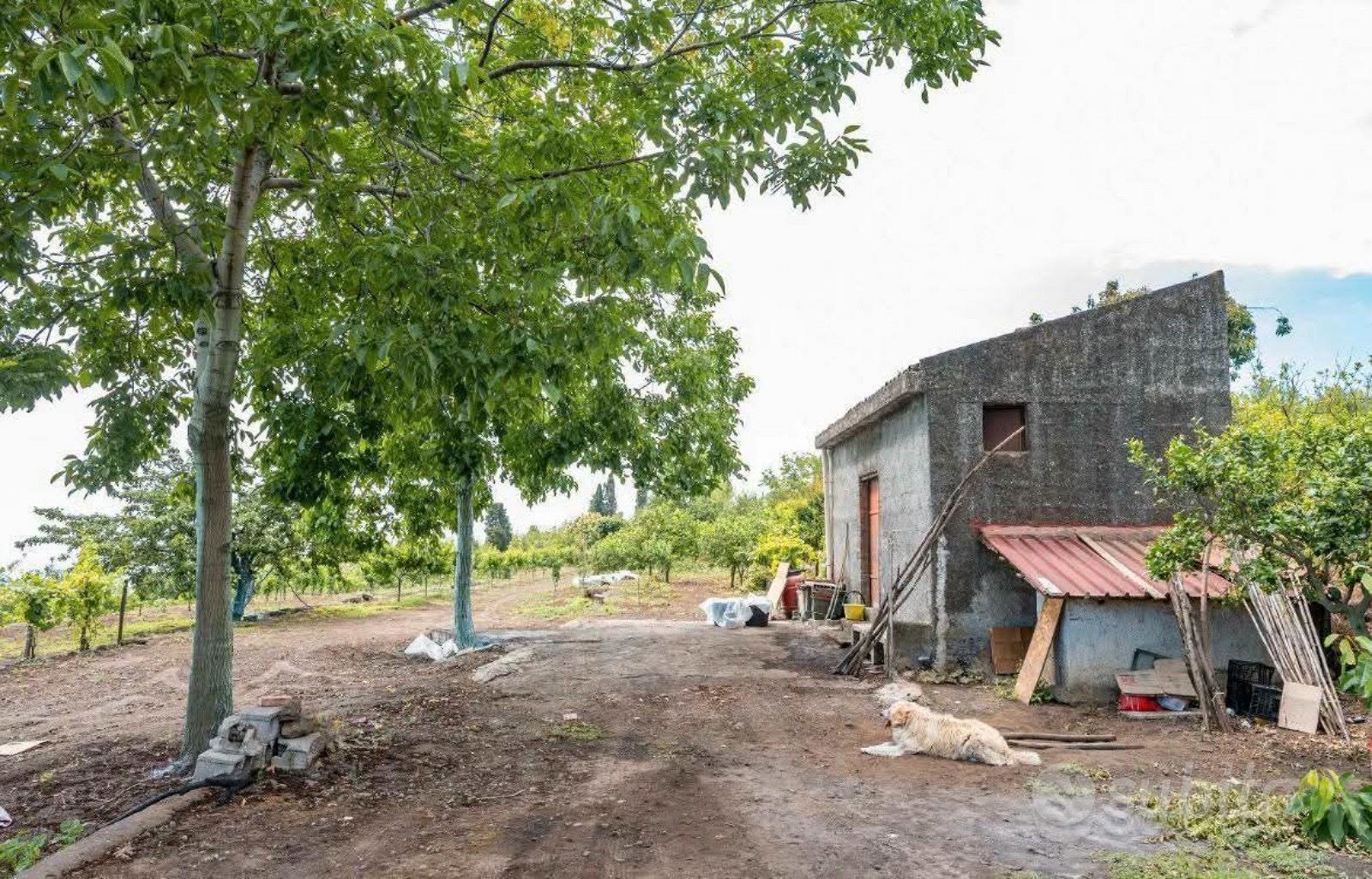 Terreno panoramico con fabbricato a Mascali - Vista 2