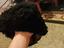 Immagine 5