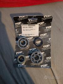 kit cuscinetti banco am6 