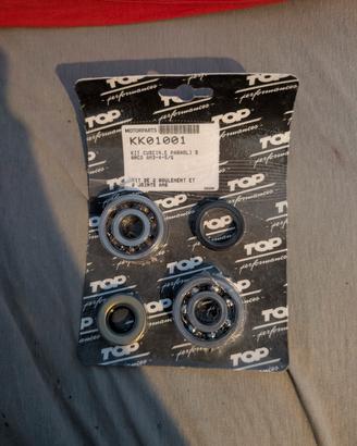 kit cuscinetti banco am6 