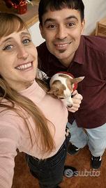 Coppia con esperienza disponibile per stagione es