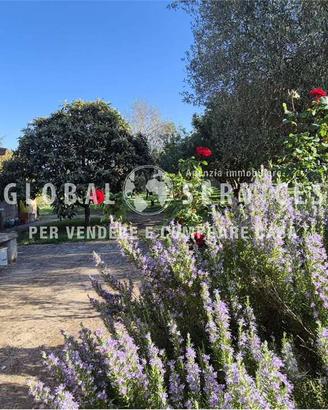 Uliveto con annessi agricoli alle porte di Alghero