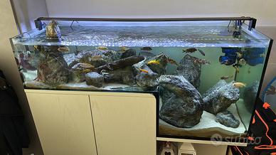 Acquario e mobile artigianale