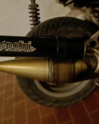 Marmitta polini team 4