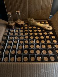 Set 100 Ampolle in Vetro con Tappo