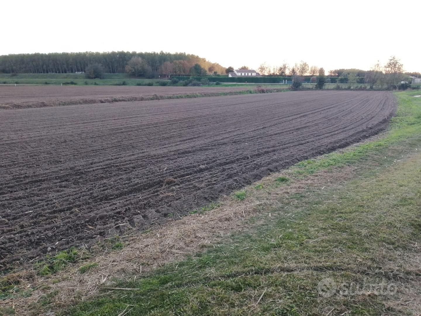 Terreno agricolo - Vista 3