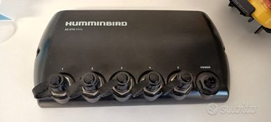 Switch di rete Humminbird