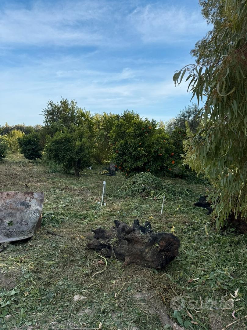 Terreno edificabile a Selegas - Altro