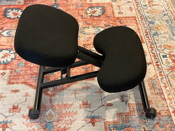 Sedia ergonomica postura corretta