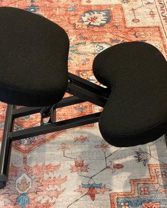 Sedia ergonomica postura corretta