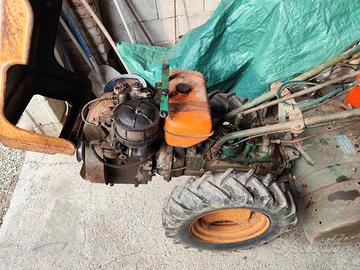 motocoltivatore Goldoni usato
