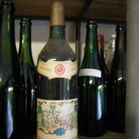 Bottiglia di vino teroldego rotalia anno 1966