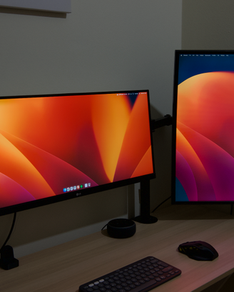 Monitor LG 29" + Samsung 24" con braccio doppio