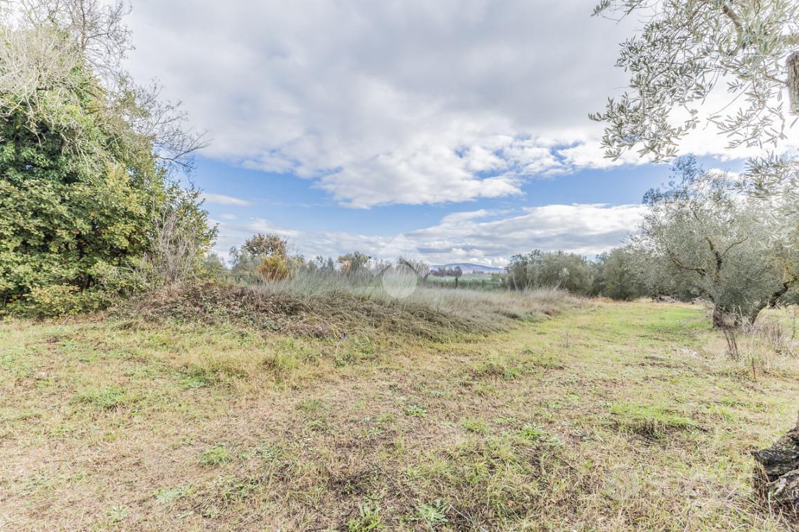 RUSTICO A VETRALLA - Vista 4