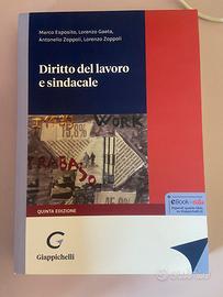 Libro Diritto del lavoro e sindacale