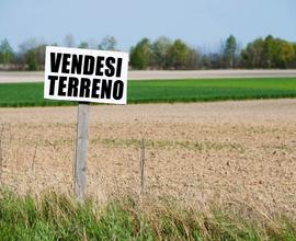 Terreno da coltivare con rustico