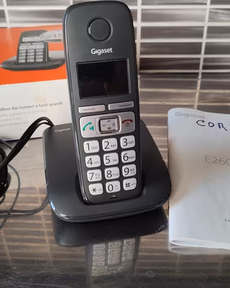 Gigaset E260