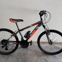 Bicicletta