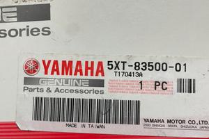 Strumentazione Yamaha Tricker 250