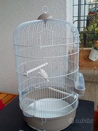 gabbia per uccelli 