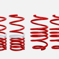 Kit molle assetto opel tigra