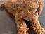 Immagine 24