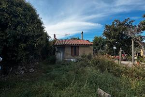 Zagarolo: rustico civile abitazione