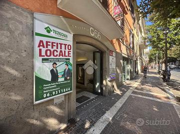 NEGOZIO A ALBANO LAZIALE