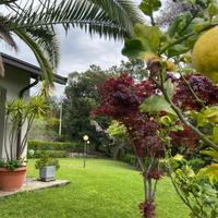 Villa singola - Deiva Marina