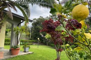 Villa singola - Deiva Marina