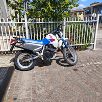 Honda XL 600 rm