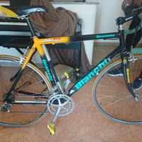 Replica di bici da corsa modello Marco  Pantani