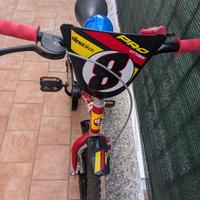 Bici 12 pollici