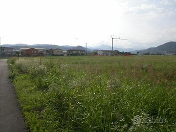 Terreno agricolo