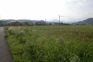 Terreno agricolo