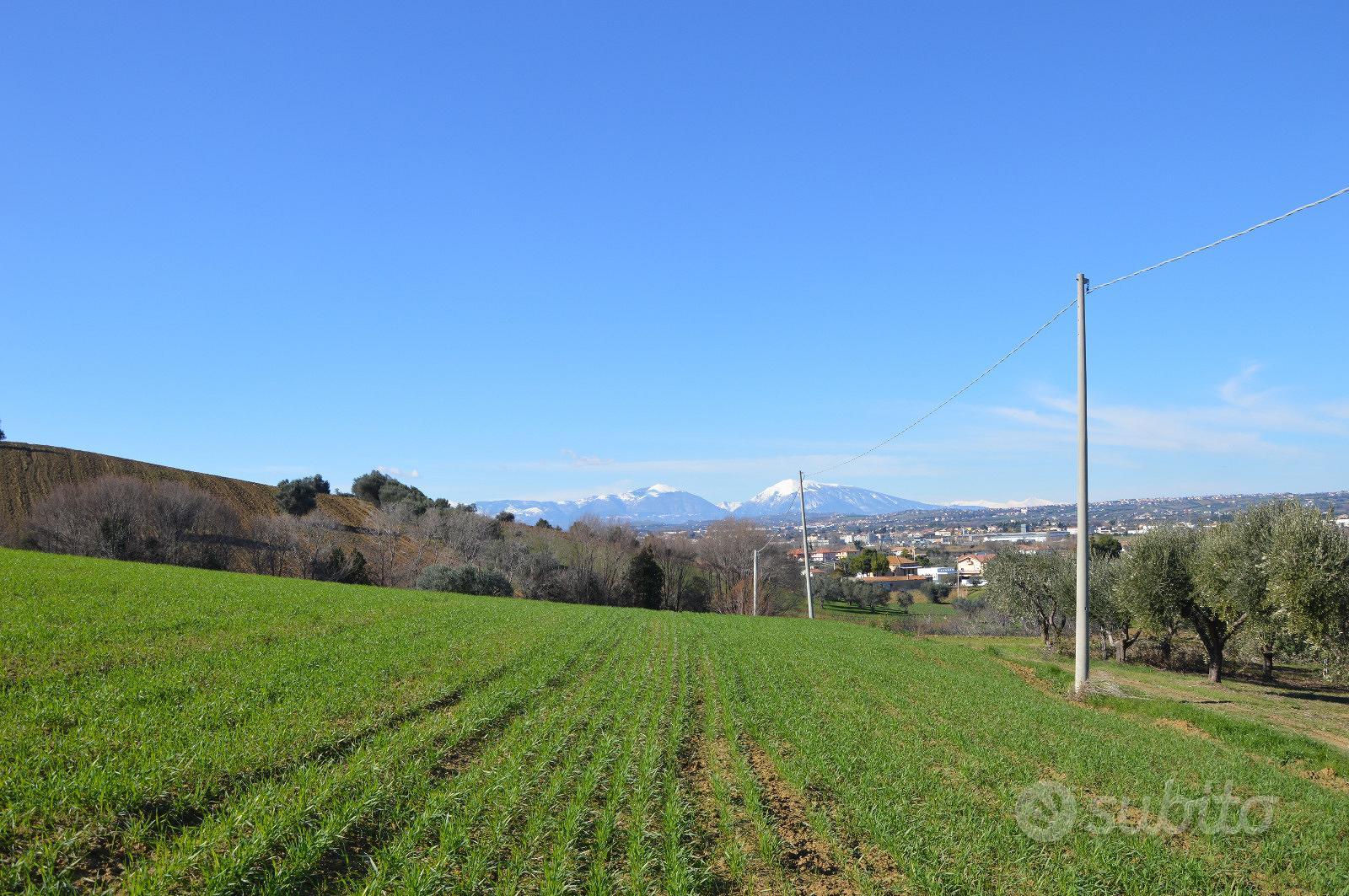 Casolare e terreno con vista sul mare - R46 - Altro