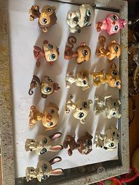 Little pets shop