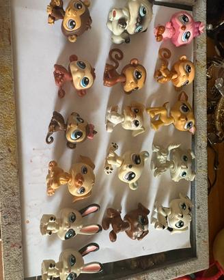 Little pets shop
