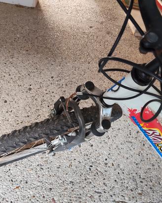 bicicletta ragazzo 