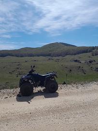 Altro Altro modello - 2007